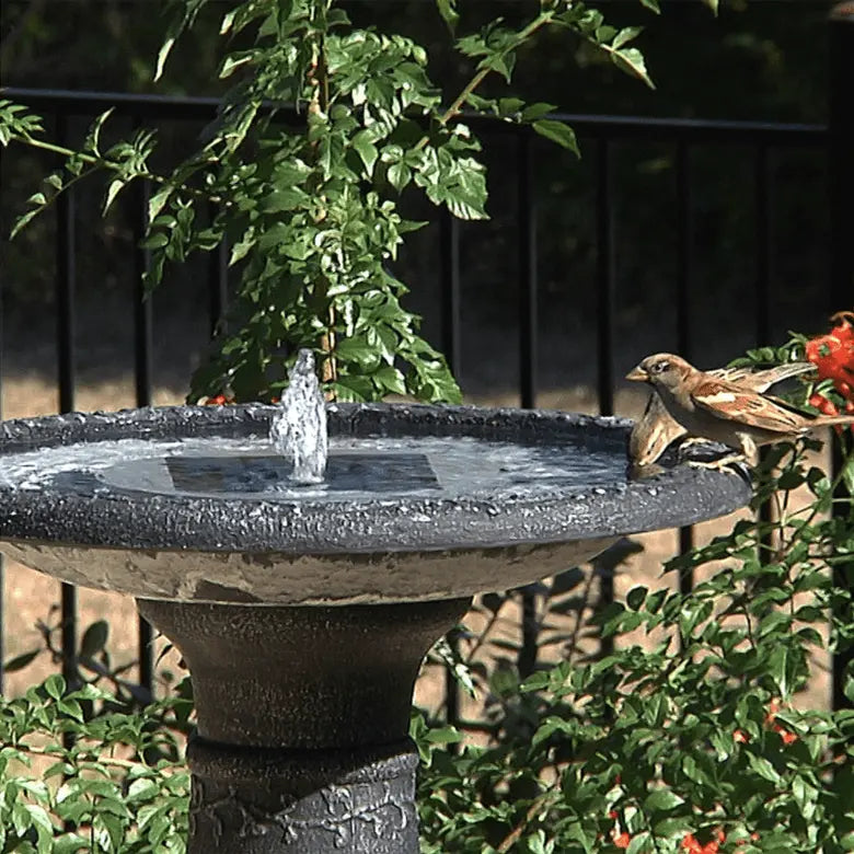 Smart Solar Outdoor Fountains AquaNura Solar Birdbath Kit 21300R01 / 9" Dia x 2" H Smart Solar AquaNura Solar Birdbath Kit 21300R01