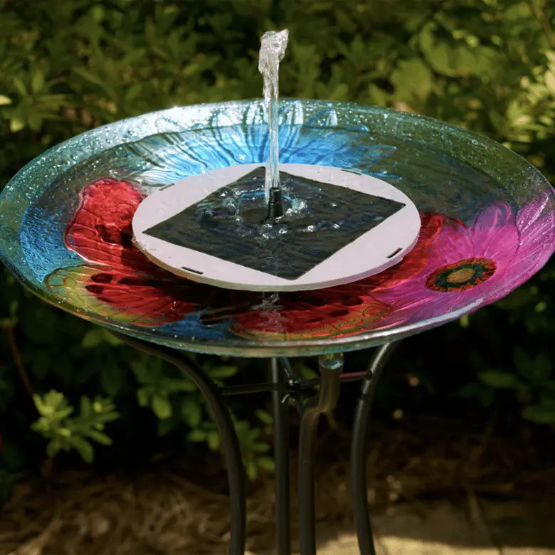 Smart Solar Outdoor Fountains AquaNura Solar Birdbath Kit 21300R01 / 9" Dia x 2" H Smart Solar AquaNura Solar Birdbath Kit 21300R01