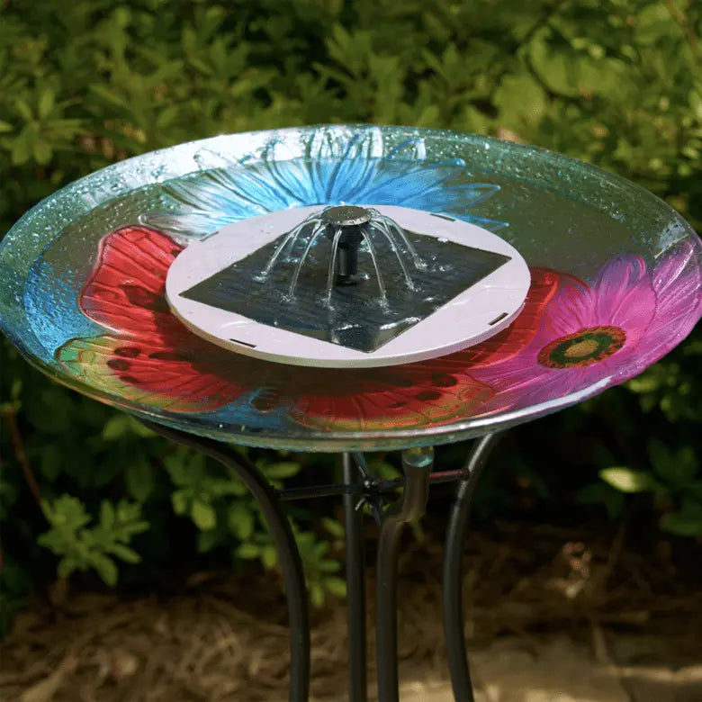 Smart Solar Outdoor Fountains AquaNura Solar Birdbath Kit 21300R01 / 9" Dia x 2" H Smart Solar AquaNura Solar Birdbath Kit 21300R01